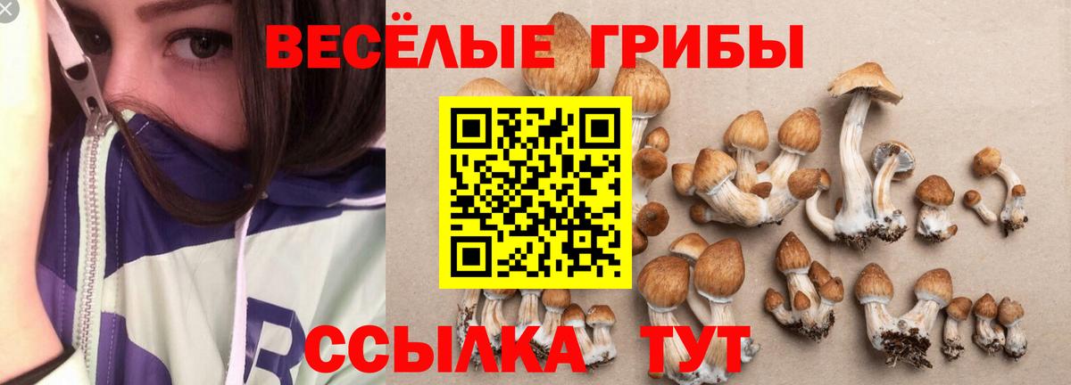 Ялта  Псилоцибиновые грибы Cubensis  купить наркотик  Вход с VPN 