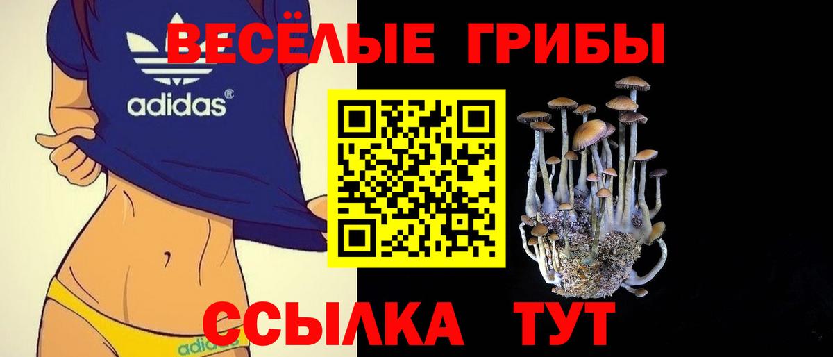 Галлюциногенные грибы Psilocybe Ялта